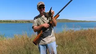 Dove Hunting And Releasing A Bat Back Into The Wild