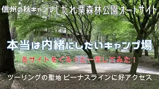 【おすすめキャンプ場】本当は内緒にしたい穴場キャンプ場 長野県の秋キャンプはココ！ しだれ栗森林公園オートキャンプサイト, ビーナスラインツーリングにも好アクセス