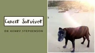CASE STUDY - Long Term Cancer Survivor Chad - Dr Henry Stephenson