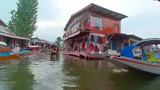 Srinagar Kashmir/ dal lake/ boat house 🏡 #jammukashmir #srinagar #dal lake #viralvideo