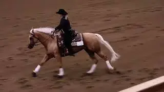 GOTTA CHIC DREAM 2021 AQHA/APHA mare 