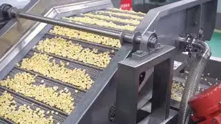 Complete Fresh Corn Kernel Threshing, Blanching, Air Drying Processing Line