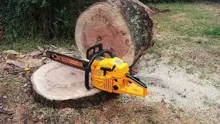 Motosierra Ingco 62 cc (cort&eacute; trozo de Coihue)