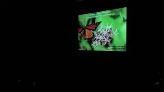 Engaging Citizen Naturalists in Monarch Butterfly Conservation