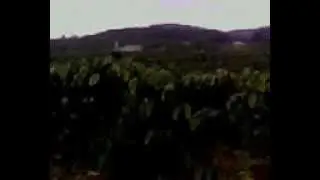MOV0084A
