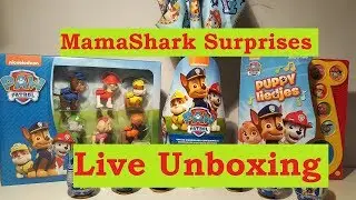 Martes Special! MamaShark Surprises