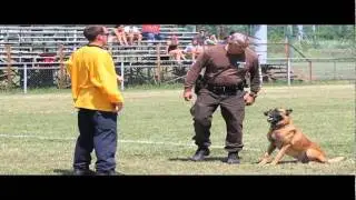 USPCA Region 19 police dog field trials in Windsor