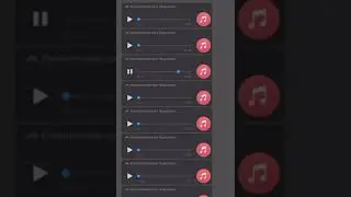 Bem-te-vi irritando uma velha KKKK