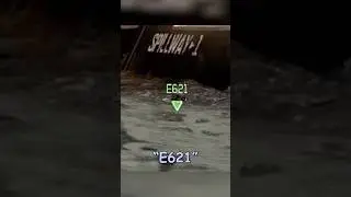 Что это значит? 🤔 #halo #funny #gaming