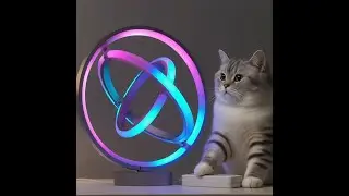 My cat seeing AI neon lighting for the first time 🤔🐱