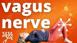 Vagus Nerve Massage for Anxiety and Stress Relief