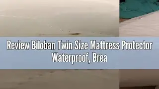 Review Biloban Twin Size Mattress Protector Waterproof, Breathable & Noiseless Twin Size Mattress Pa