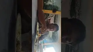 Mukbang nasi padang telor dan ikan nila