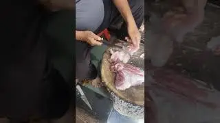 goat boti cutting#meatmarket #fishcutting #meat
