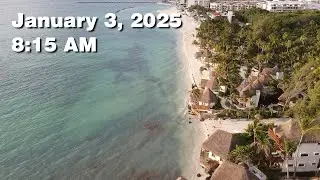 Daily Sargassum Sargasso Seaweed Report at Playa del Carmen, Mexico - January 3, 2026 #sargassum