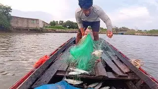 Indian Net Fishing Video Fisherman Fish Catching  2024