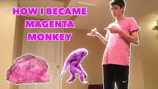 HOW I BECAME MAGENTA MONKEY...(Short Movie)