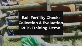 Bull Fertility Check | Semen Collection & Evaluation &ndash; RLTS Academy Training Demo