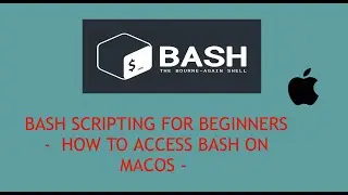 Bash Scripting For Beginners - How to Access Bash on MacOS
