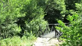 Eco Trail 'Struilitsa'' | Екопътека 