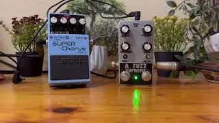 GATED FUZZ WITH CHORUS - A FUZZ SUPREME - CH-1 - The Pedal Chemist