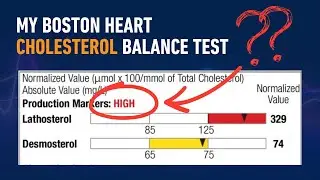 I Did the Boston Heart Cholesterol Balance Test