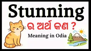Stunning Meaning in Odia | Stunning ka Odia Meaning with Examples