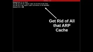 How to Flush Your ARP Cache in Linux in ONE COMMAND