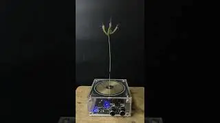 Tesla coil + Plants ep5