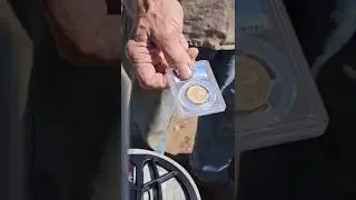 Minelab Manticore GOLD COINS Tones $1 to $20 U.S. Gold Coins! 💰 You Have to Hear These!
