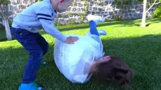 ЧЕЛЛЕНДЖ - ПУЗЫРЧАТАЯ  ПЛЕНКА | BUBBLE WRAP CHALLENGE EXTREME!