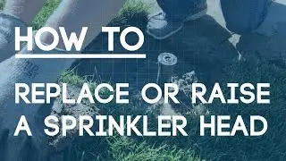 How To Replace or Raise a Sprinkler Head the Right Way