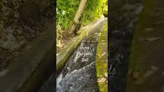 The water that waters the rice fields in Bali! #meditation #relaxing #zen