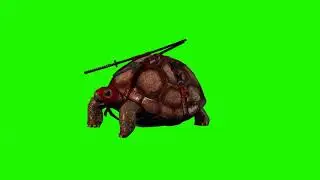 Turtle green screen