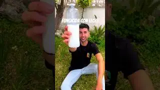Fungicida para plantas con leche 🌿🥛