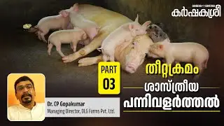 ശാസ്ത്രീയ പന്നിവളർത്തൽ | Part - 3 | തീറ്റക്രമം (feeding) | Karshakasree | Pig Farming | Modern Farm