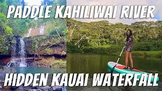 Kauai Paddleboard Adventure: Kahiliwai River & Waterfall | North Shore Hidden Gem