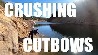 CRUSHING CUTBOWS! Prime Time Morning Bite - Gross Reservoir Colorado Trout Fishing!