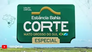 LEILÃO VIRTUAL ESTÂNCIA BAHIA CORTE MS - CAMPO GRANDE/MS - RURAL PLAY