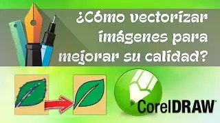 &iquest;C&oacute;mo vectorizar im&aacute;genes para mejorar su calidad?