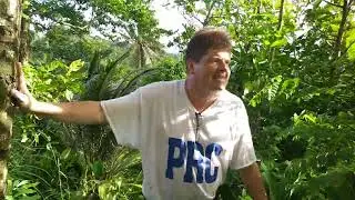 Dr. Joel Klenck, Origin of Malaeloa, Olo or Fortification, Second Vaega or Tier