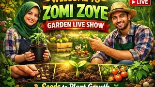 Zomi Zoye garden, vegetables, grow, garden, vegetable, plants, home garden, vegetable growing