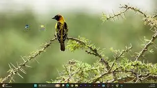 Sikram Fast Sync วิธีการใช้งาน  (แบบไม่ผ่าน LightRoom)