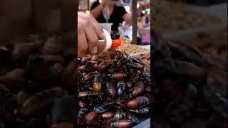 You Won&rsquo;t Believe What They&rsquo;re Selling on This Street! | Bizarre Street Food Tour 03