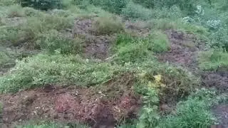 Strange soil moving in Rwanda (apocalypse)