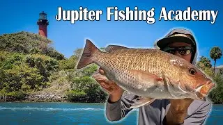Fishing for Dinner in Jupiter - Snappers On!