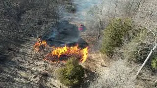 Mary Gray Bird Sanctuary big field burn early