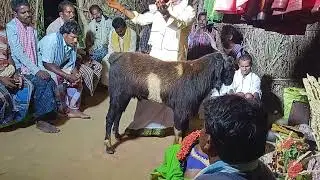 BATHAKALA LAXMINARAYANA PHONE NUMBER 8179933262 GAVU SAMBARAM MARRIVALASA