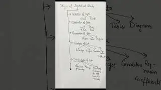 Stages Of Statistical Study