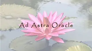 6K THANK YOU BONUS READING 🌞💝 Tarot, oracle cards and charms! Timestamps~